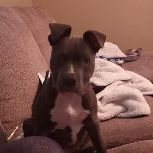 Meet your Posher, Bridget